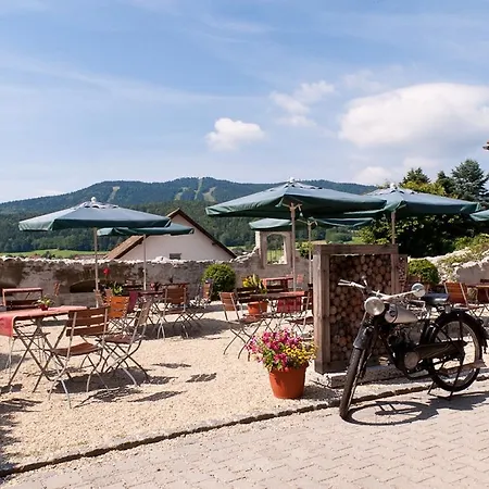Hotel Hotel-gasthof Zur Linde